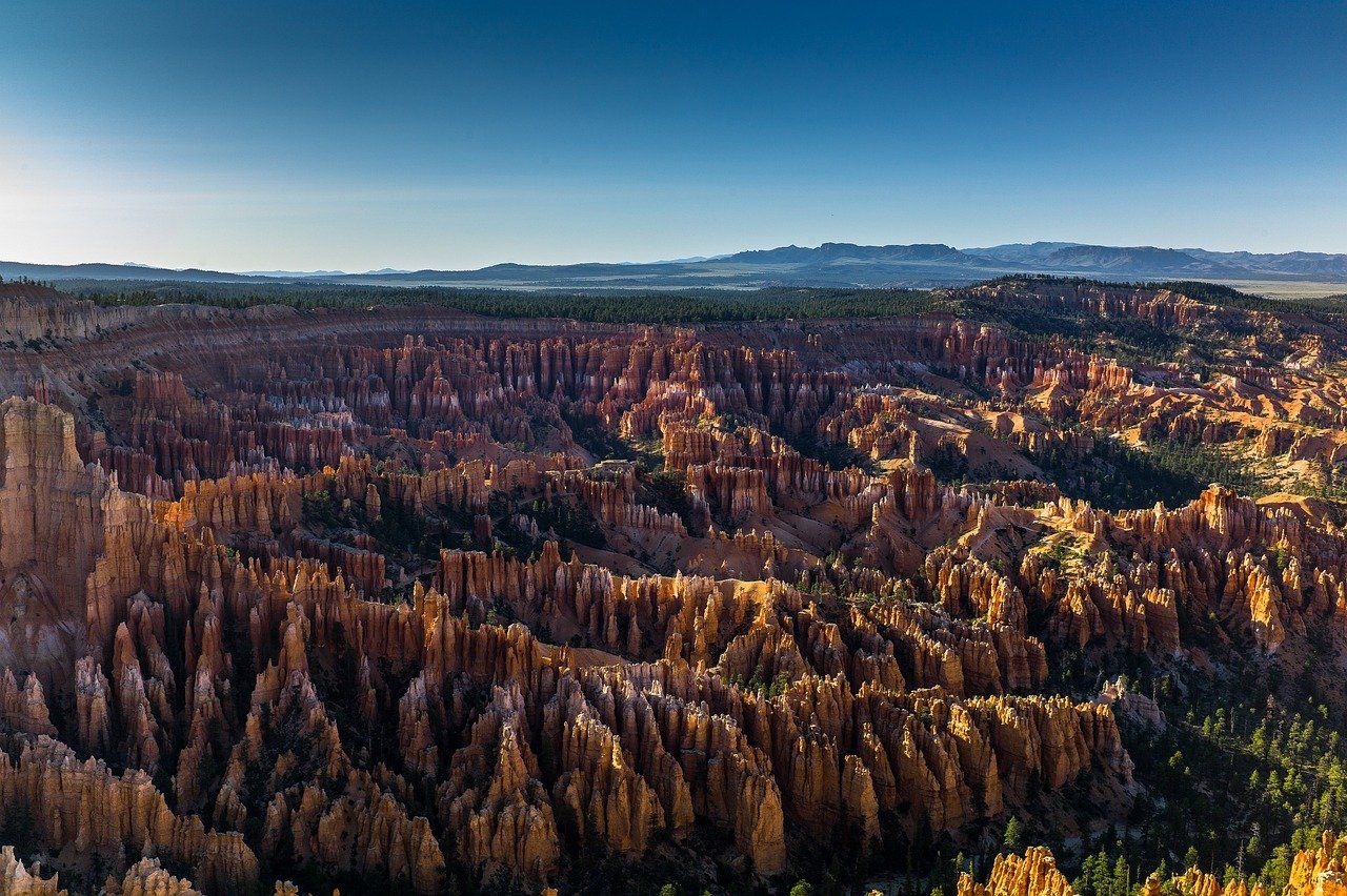 découvrez tout sur la terre : sa structure, ses caractéristiques, son environnement naturel et son importance pour la vie. informations captivantes et faits surprenants sur notre planète.