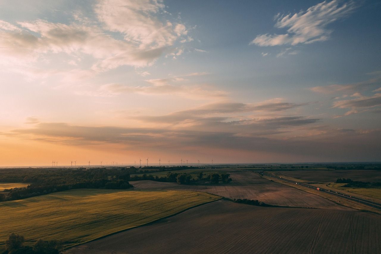 découvrez l'importance de la sustainability : pratiques, enjeux et solutions pour un avenir plus écologique et responsable. apprenez comment adopter un mode de vie durable au quotidien.