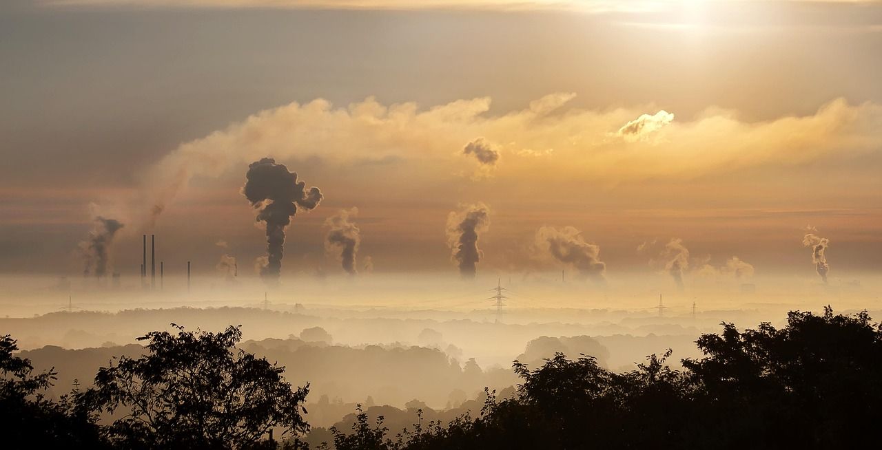 découvrez l'importance de la diplomatie environnementale dans la lutte contre le changement climatique et la préservation de la biodiversité. explorez les initiatives internationales, les accords globaux et les collaborations nécessaires pour protéger notre planète et promouvoir un développement durable.