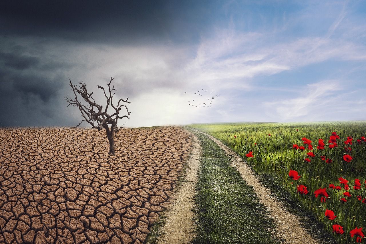 découvrez les causes, impacts et solutions du changement climatique pour agir durablement et protéger notre planète.