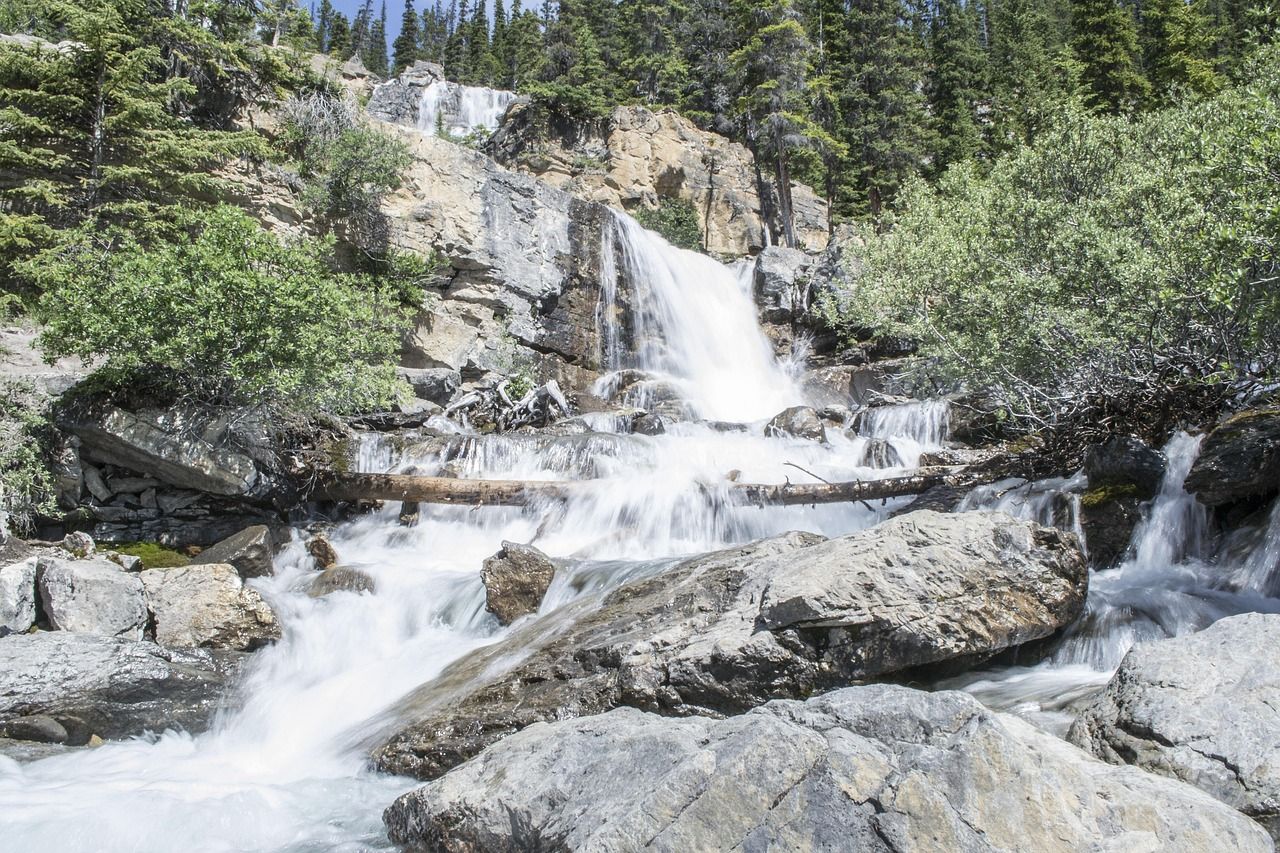 découvrez les principaux défis environnementaux actuels et leurs impacts sur notre planète, ainsi que les solutions possibles pour un avenir durable.