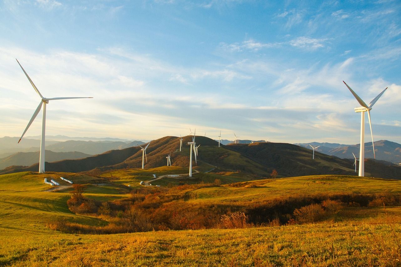 découvrez comment une économie durable transforme notre monde en équilibrant croissance économique, protection de l'environnement et bien-être social. explorez des solutions innovantes et des pratiques éthiques pour un avenir responsable.