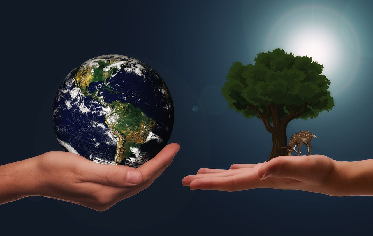 découvrez comment adopter une communication durable pour promouvoir des pratiques responsables et respectueuses de l'environnement tout en renforçant l'image de votre entreprise.