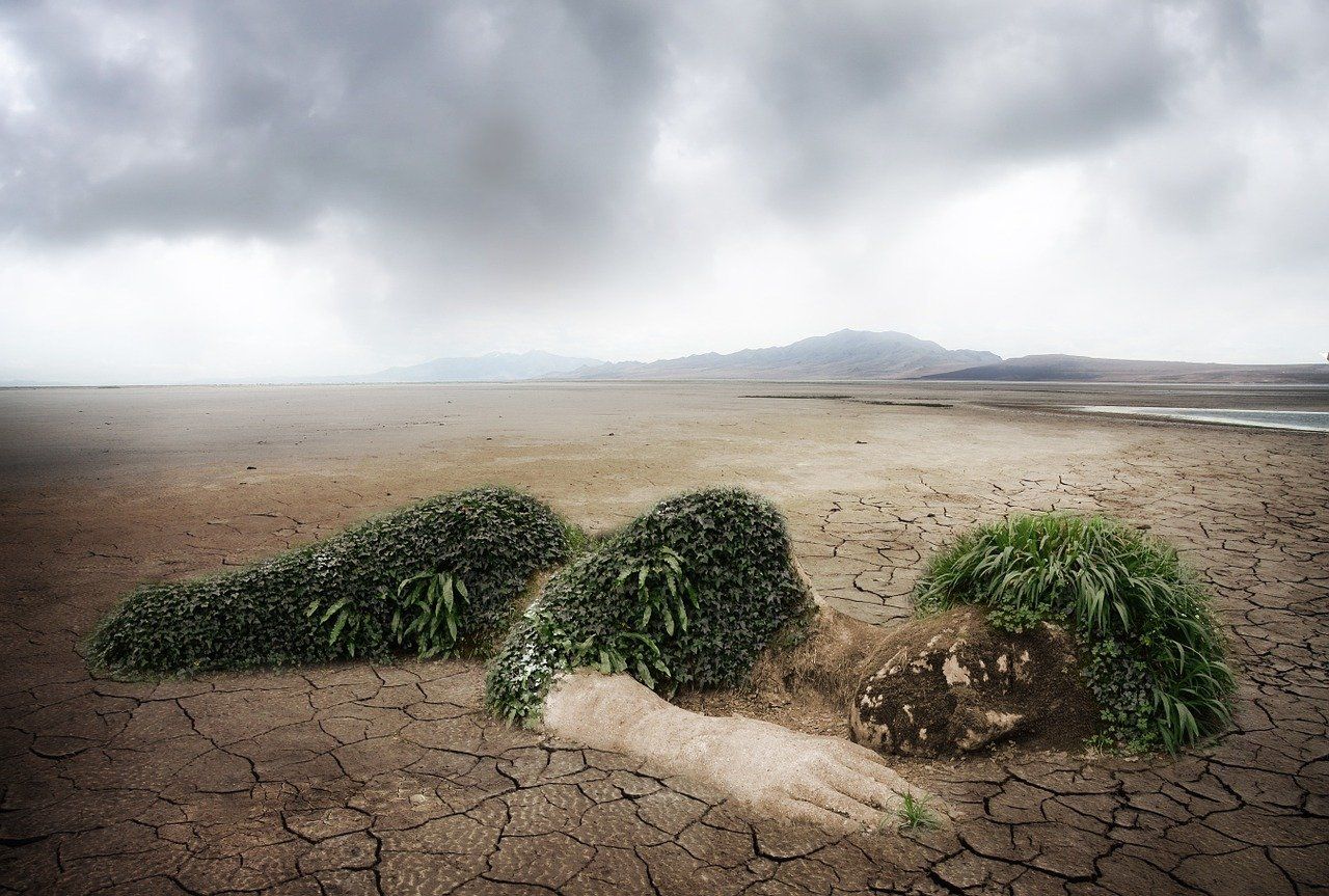 découvrez comment l'amendement constitutionnel environnemental vise à protéger notre planète en intégrant des principes écologiques dans la législation. une initiative essentielle pour un avenir durable et une justice environnementale.