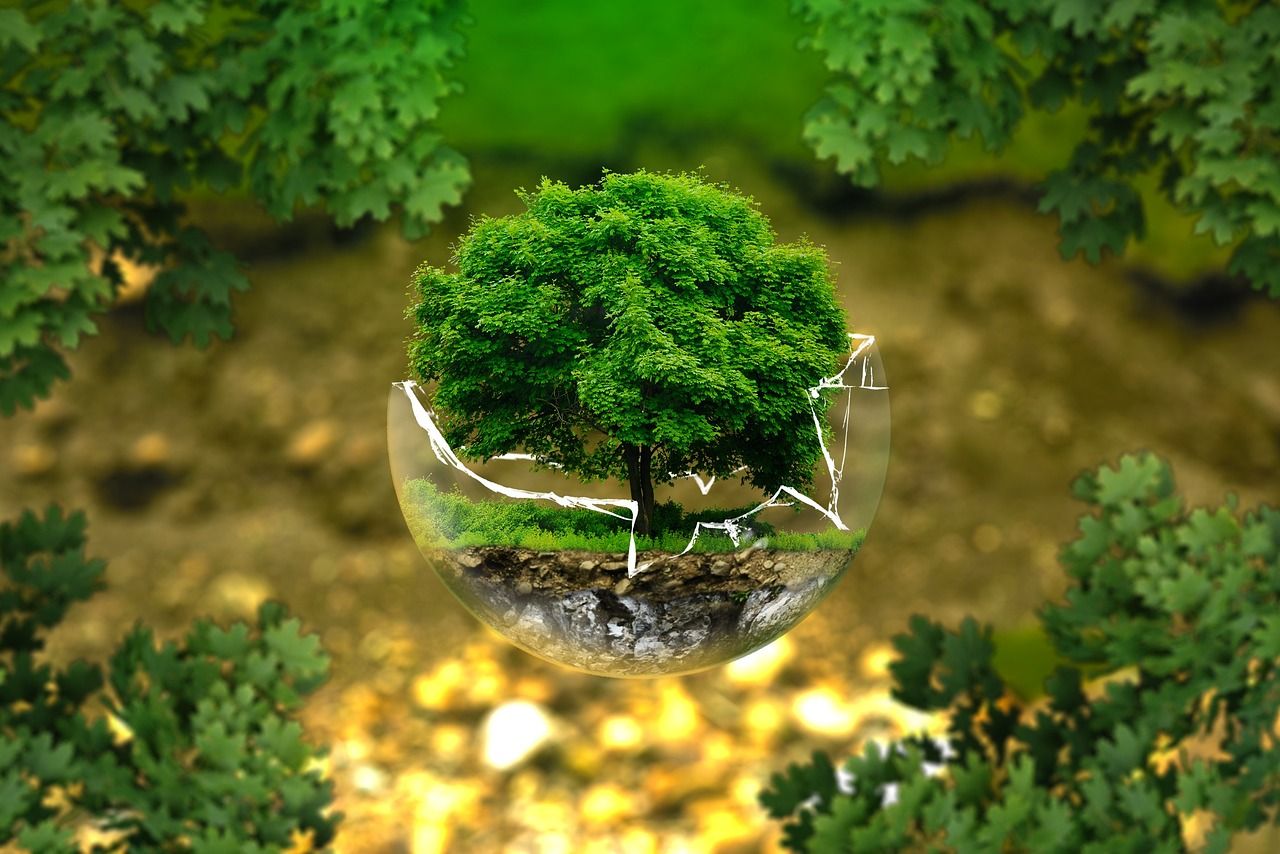 découvrez les critères environnementaux essentiels pour évaluer l'impact écologique et promouvoir des pratiques durables et responsables.