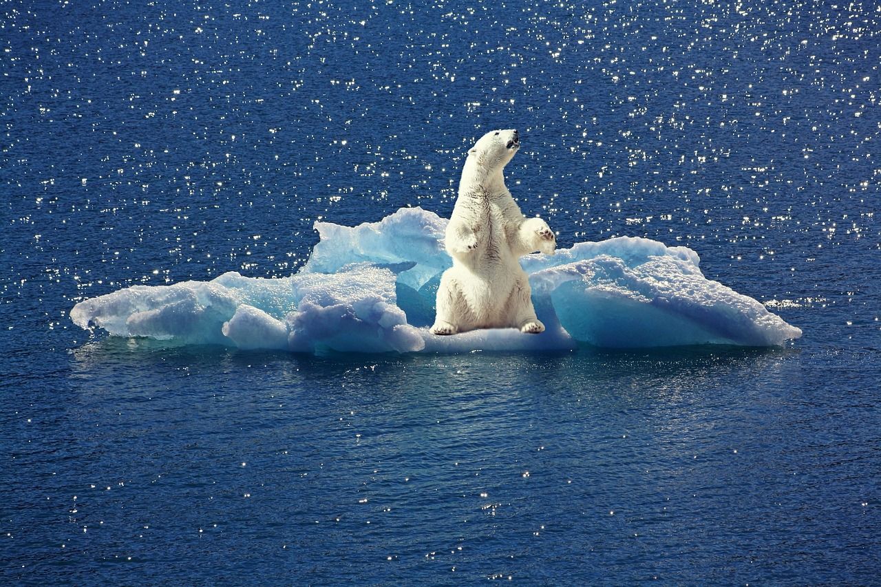 découvrez ce qu'est le risque climatique, son impact sur l'environnement et l'économie, ainsi que les stratégies essentielles pour anticiper et gérer les menaces liées au changement climatique.