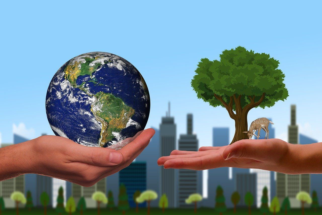 découvrez l'écologie urbaine : l'étude des interactions entre les environnements naturels et les zones urbaines pour un développement durable et harmonieux des villes.