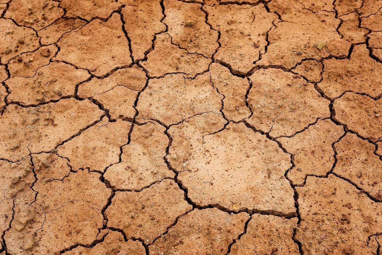 découvrez les impacts et les solutions face à la sécheresse : enjeux environnementaux, économiques et sociaux. informez-vous sur les méthodes de gestion de l'eau et les pratiques durables pour préserver notre planète.