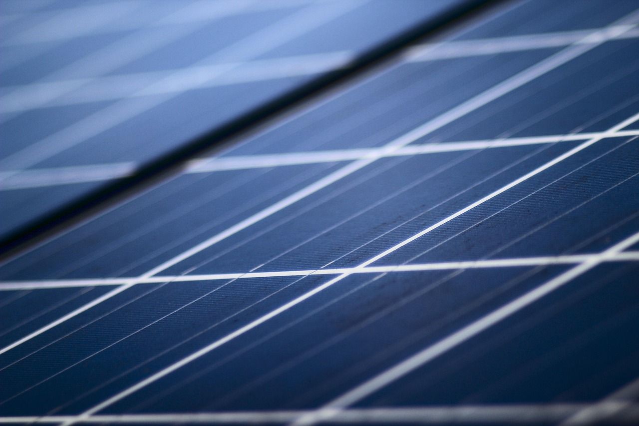 découvrez l'importance de la durabilité et comment elle façonne notre avenir. analyse des pratiques durables, des initiatives écologiques et des solutions pour un mode de vie respectueux de l'environnement.