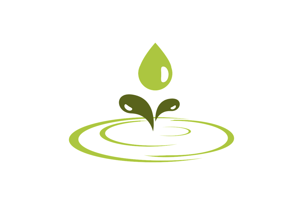 découvrez comment organiser des sorties scolaires écoresponsables qui allient apprentissage et respect de l'environnement. impliquez vos élèves dans des activités durables et profitez d'une expérience inoubliable tout en sensibilisant à l'importance de la protection de notre planète.