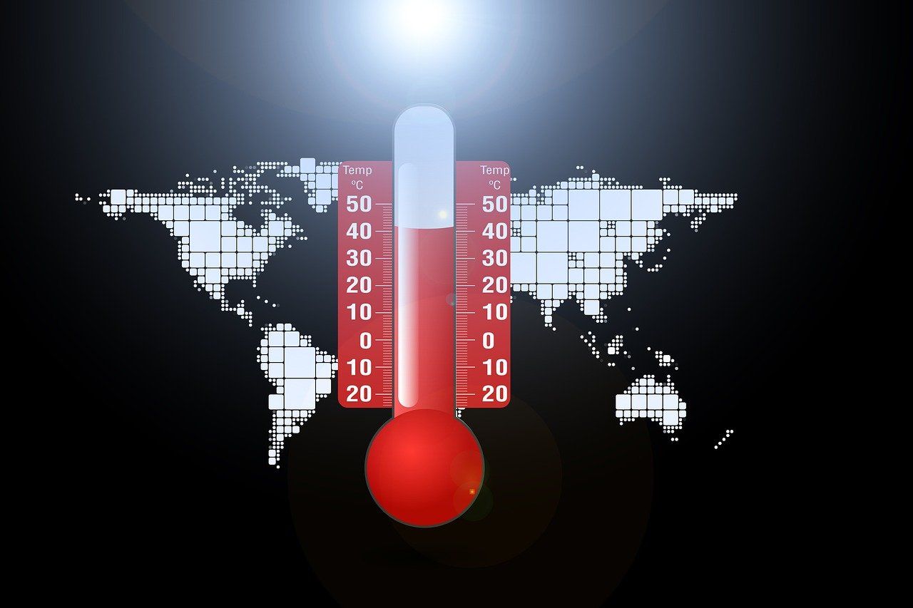 découvrez les impacts du changement climatique sur notre planète, les causes majeures et les actions nécessaires pour un avenir durable. informez-vous sur les solutions pour atténuer cette crise environnementale.