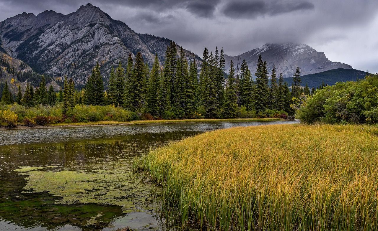 découvrez la stratégie nationale d'adaptation, un plan essentiel pour anticiper et gérer les impacts du changement climatique à l'échelle nationale, visant à protéger les populations, les écosystèmes et l'économie.