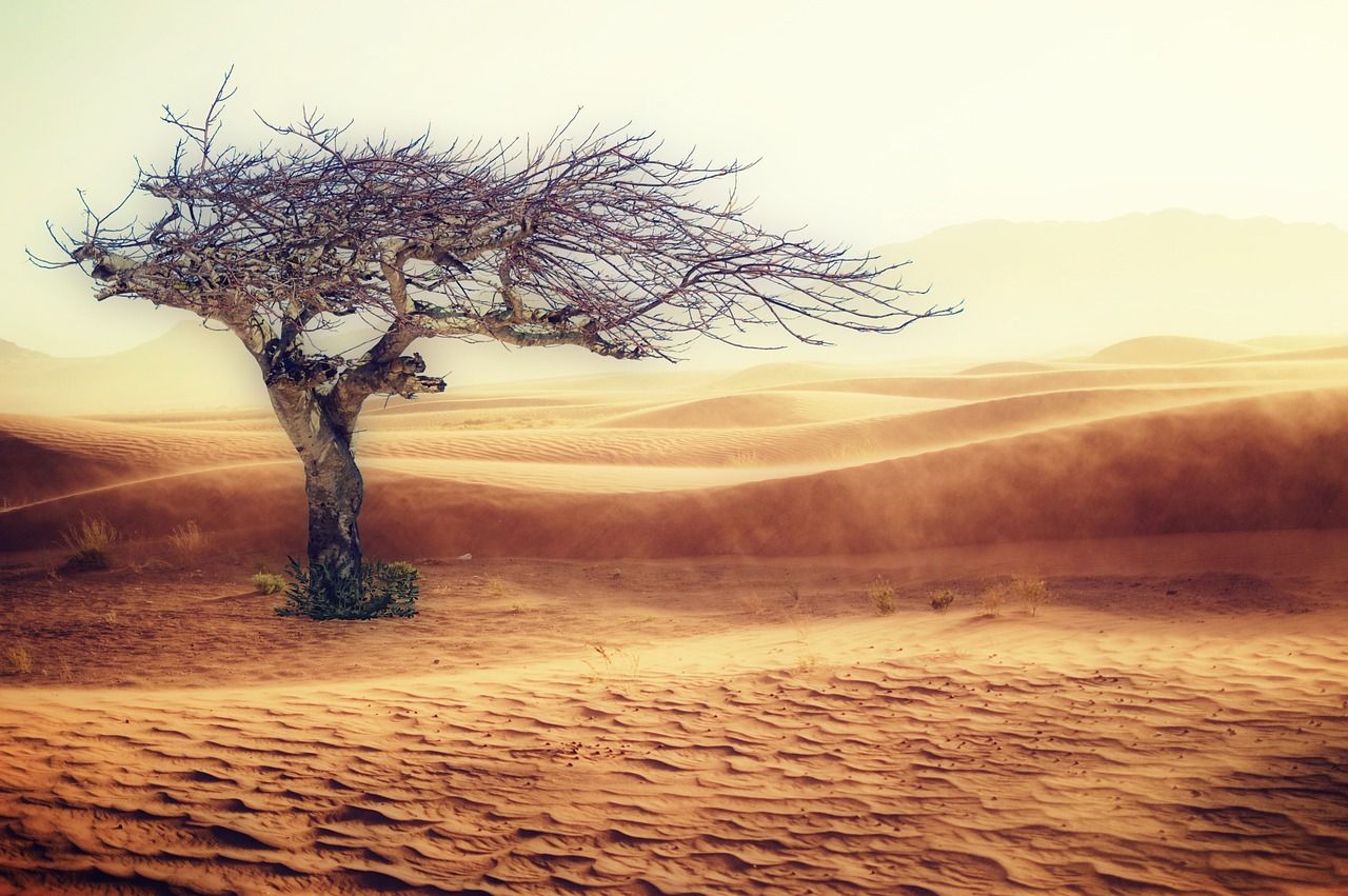 découvrez les enjeux cruciaux du changement climatique, ses impacts sur notre planète et comment chacun peut agir pour un avenir durable. informez-vous sur les solutions et les initiatives pour lutter contre ce phénomène mondial.