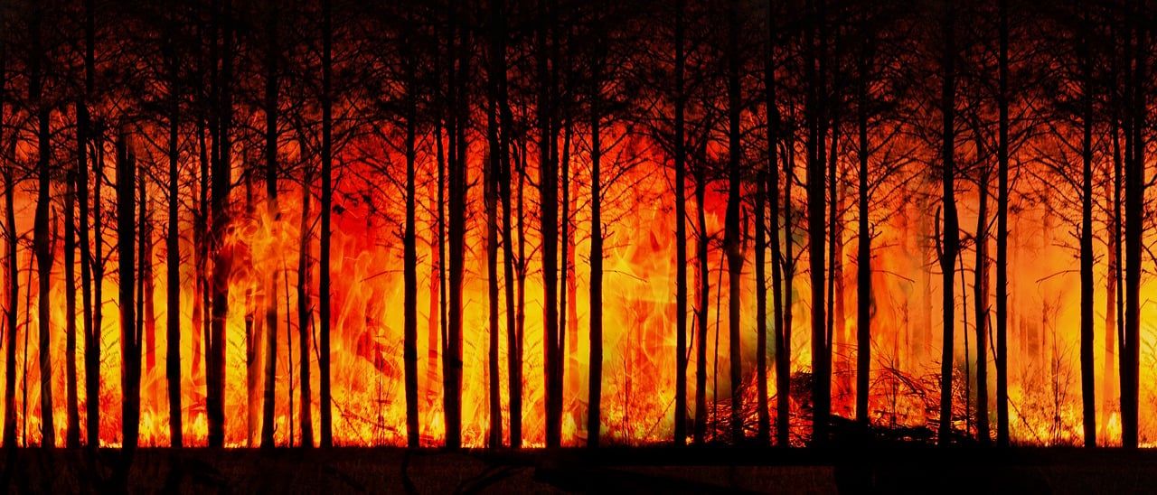 découvrez les causes, conséquences et solutions possibles au changement climatique. informez-vous sur les impacts environnementaux et les actions pour protéger la planète.