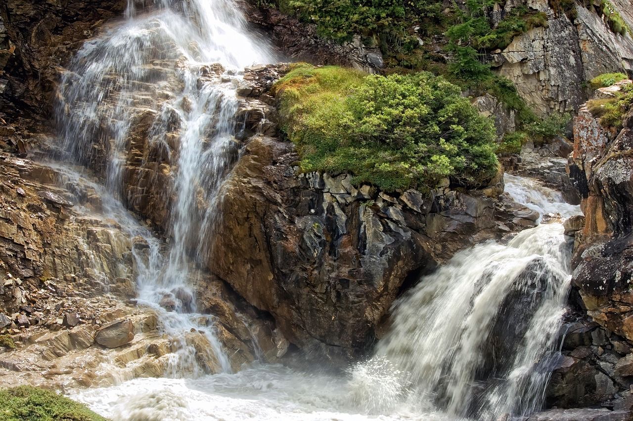 découvrez des informations et des ressources essentielles sur l'environnement, la protection de la nature et le développement durable pour un avenir plus vert.
