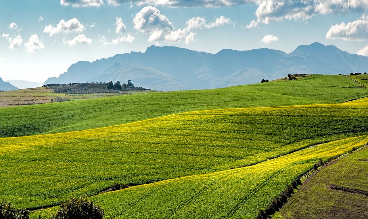 découvrez l'agriculture régénérative, une approche innovante visant à restaurer les sols, préserver la biodiversité et lutter contre le changement climatique tout en produisant des aliments de qualité. engagez-vous pour un avenir durable grâce à des pratiques agricoles respectueuses de l'environnement.