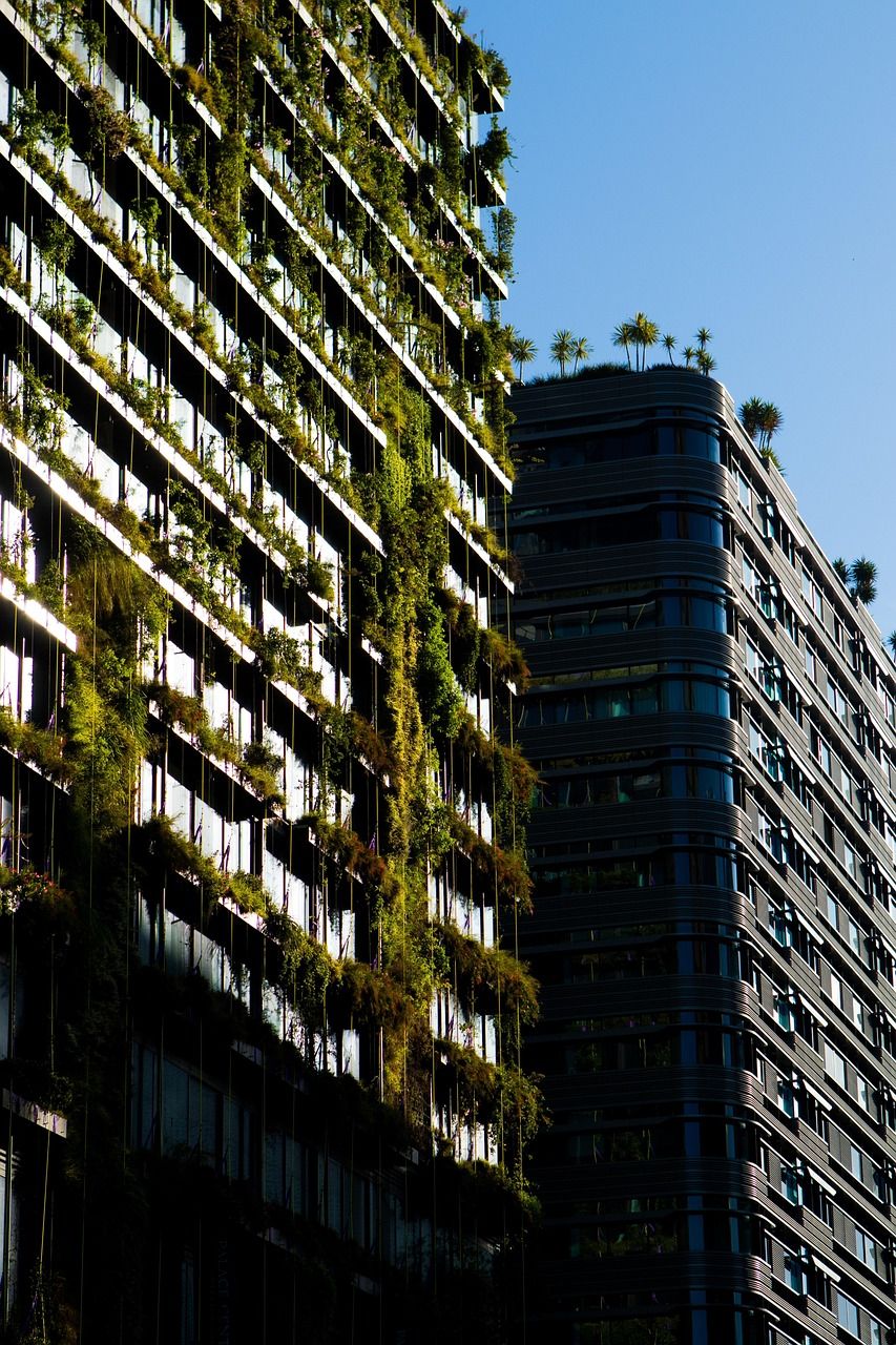 découvrez comment adopter un mode de vie durable avec nos conseils, astuces et solutions pour consommer responsable, réduire votre impact environnemental et contribuer à un avenir plus écologique.
