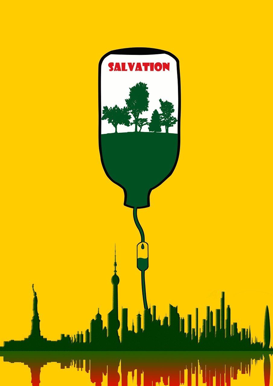 découvrez l'écologie urbaine, l'étude des interactions entre les organismes vivants et leur environnement dans les milieux urbains pour un développement durable.