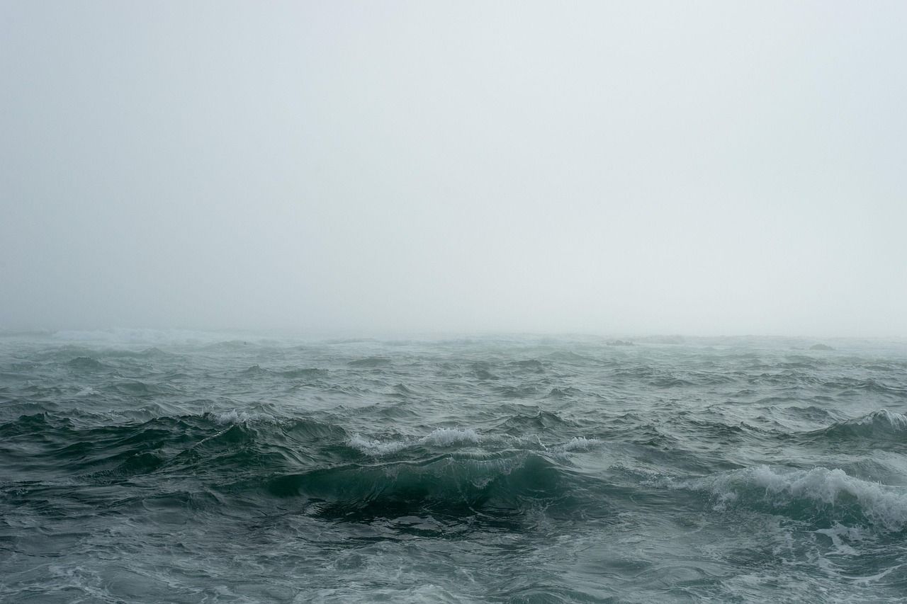découvrez la beauté et la puissance de l'océan, un monde fascinant de vie marine, d'aventures nautiques et de paysages à couper le souffle.