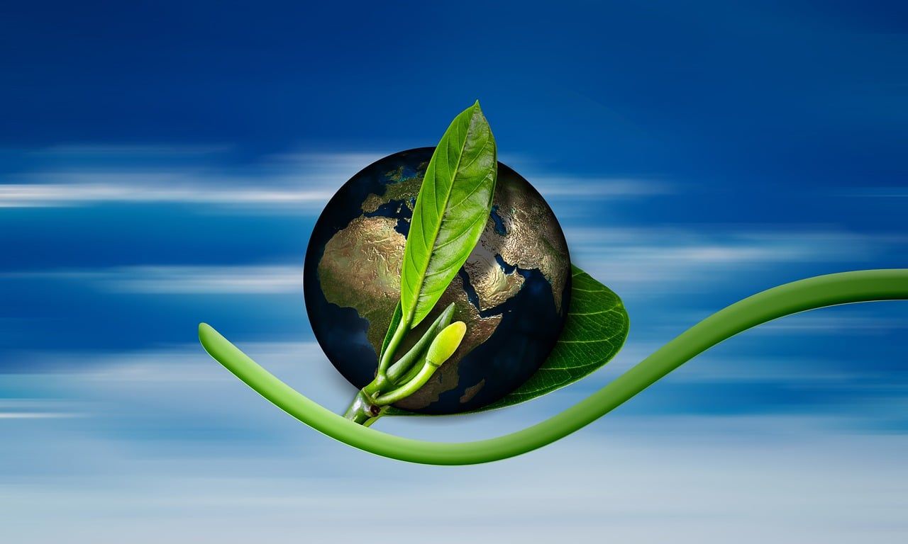 découvrez les enjeux du changement climatique, ses impacts sur notre planète et les solutions durables pour préserver notre environnement. engageons-nous ensemble pour un avenir plus vert.