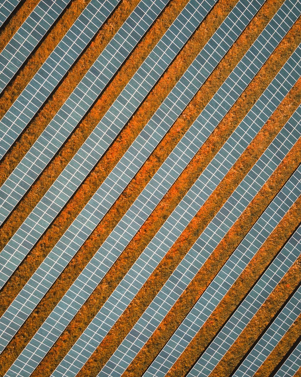 découvrez la solarisation, une technique photographique créative qui transformera vos images en œuvres d'art surréalistes grâce à des effets de lumière et de contraste uniques.