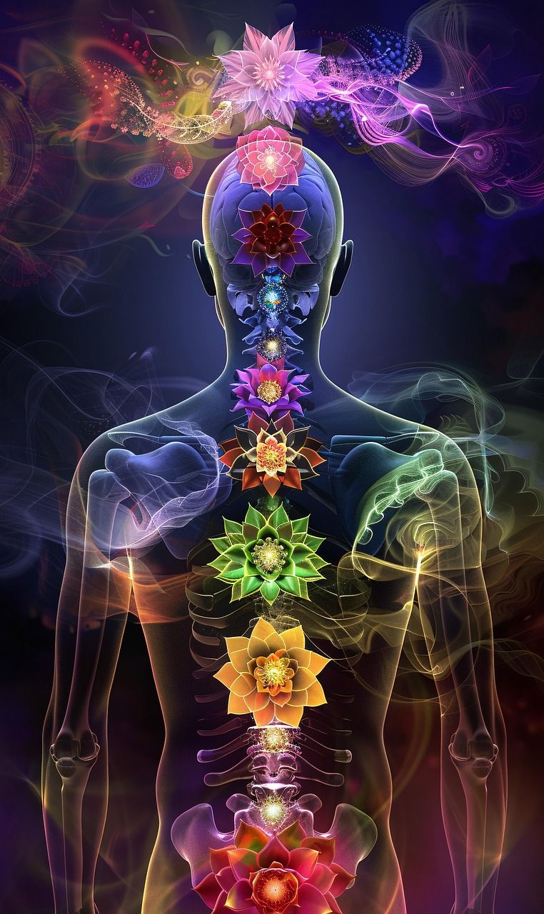 découvrez le concept holistique, une approche intégrative qui considère l'individu dans sa globalité,allant au-delà des symptômes pour promouvoir un bien-être physique, mental et émotionnel.