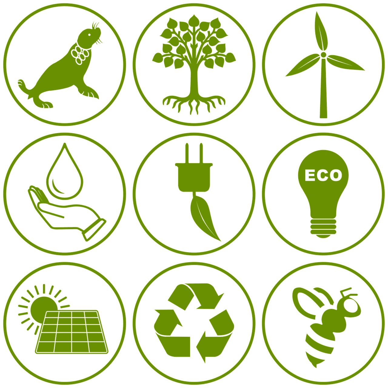 découvrez l'importance de la protection de l'environnement et les actions concrètes que chacun peut entreprendre pour préserver notre planète. engages-toi pour un avenir durable.