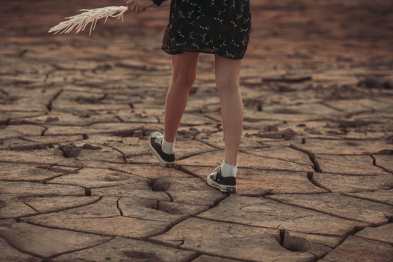 découvrez les causes, impacts et solutions liés au changement climatique. informez-vous sur les enjeux environnementaux actuels, les conséquences sur la planète et les actions à adopter pour préserver notre avenir.