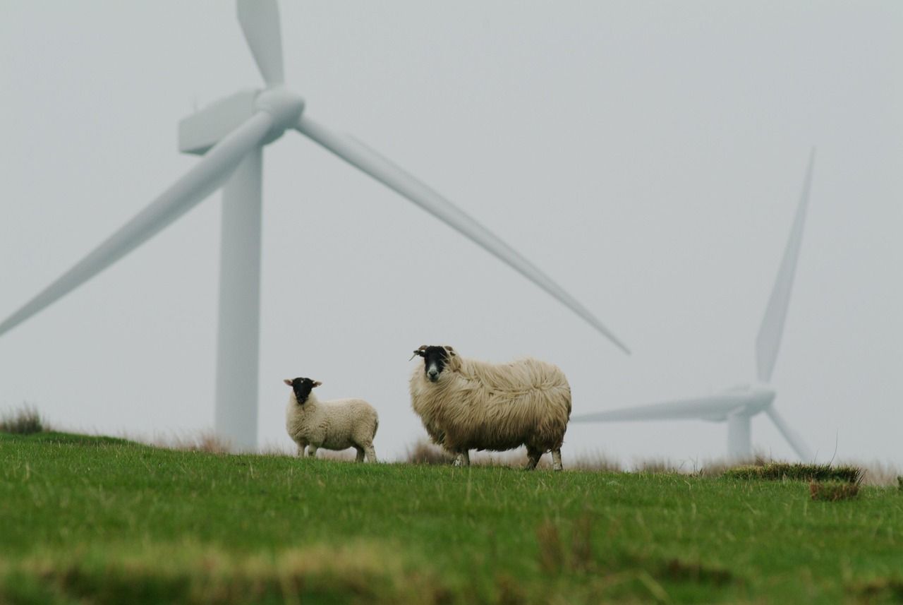 découvrez des informations, conseils et solutions pratiques pour adopter la sustainability au quotidien et contribuer à un avenir plus respectueux de l’environnement.