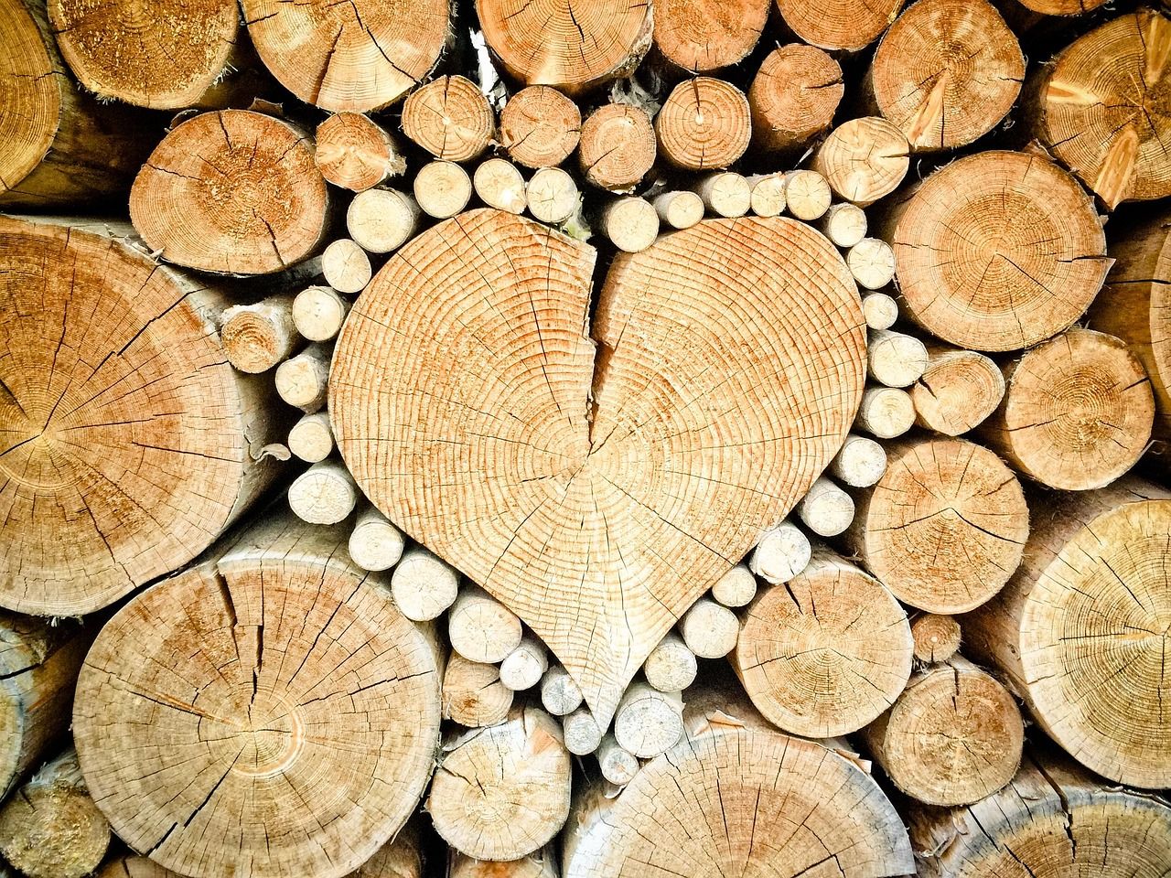 découvrez les causes, conséquences et solutions à la déforestation, un enjeu majeur pour la planète qui impacte la biodiversité, le climat et les sociétés humaines. informez-vous pour agir !