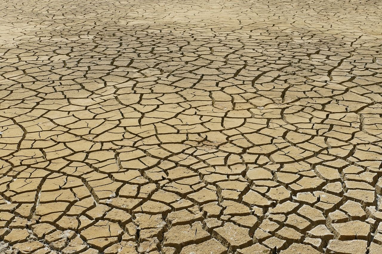 découvrez les enjeux cruciaux du changement climatique, ses impacts sur notre planète, et les actions nécessaires pour préserver l'environnement pour les générations futures.