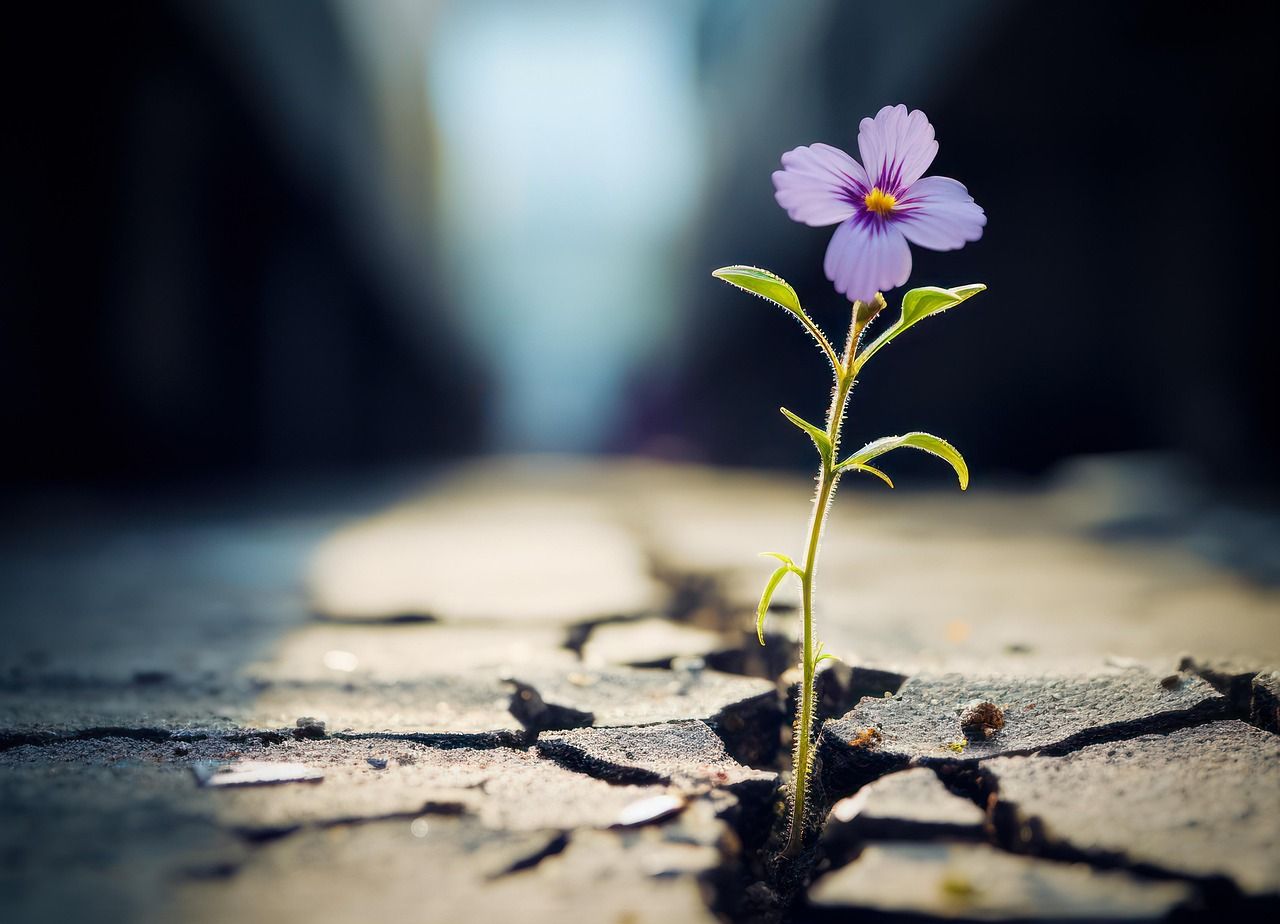 découvrez la résilience : sa définition, ses clés, et des conseils pratiques pour surmonter les difficultés, rebondir face à l’adversité et développer une force intérieure durable.