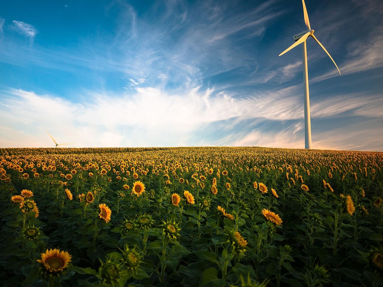découvrez comment les énergies renouvelables transforment notre approvisionnement en électricité grâce à des solutions propres et durables comme le solaire, l’éolien et l’hydroélectricité. informez-vous sur les avantages, les technologies et l’avenir de l’énergie verte.