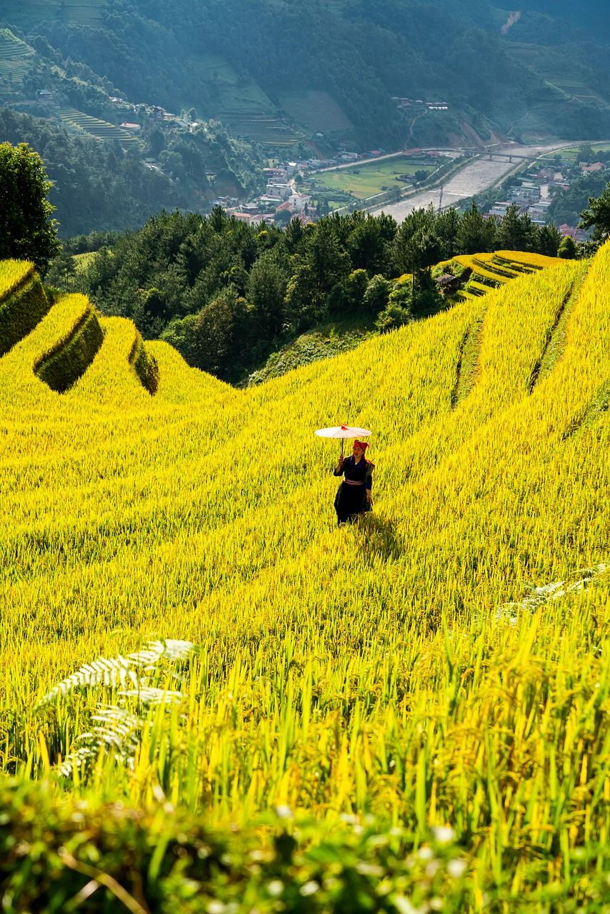 découvrez l'agriculture biodynamique : une méthode agricole durable qui respecte les cycles naturels, favorise la biodiversité et améliore la santé des sols pour une production alimentaire plus saine et respectueuse de l'environnement.