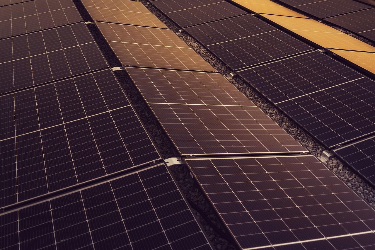 découvrez les principes et solutions de la durabilité pour préserver l'environnement, favoriser une économie responsable et construire un avenir plus vert. adoptez des pratiques écologiques et responsables au quotidien.