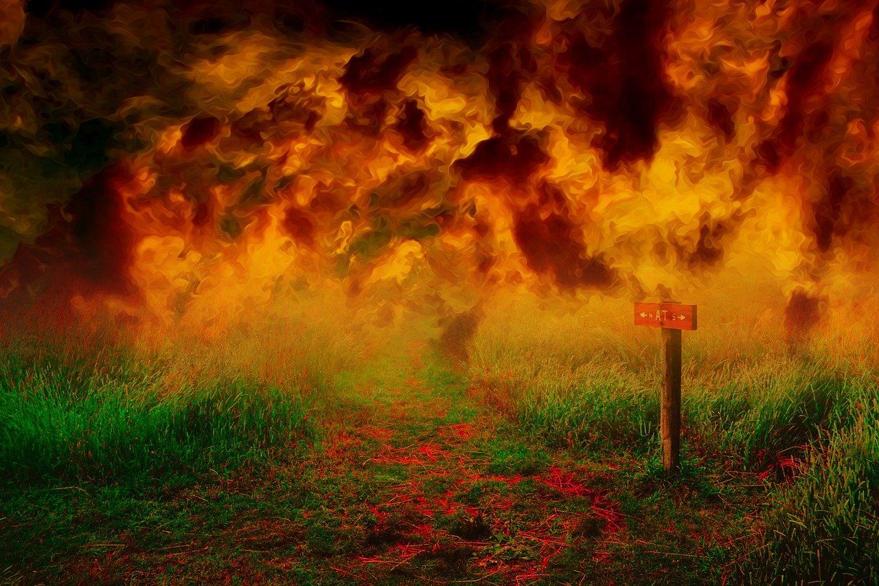 découvrez tout sur les feux de forêt : causes, conséquences sur l'environnement, moyens de prévention et actions à entreprendre en cas d'incendie. informez-vous pour mieux protéger la nature et votre sécurité.