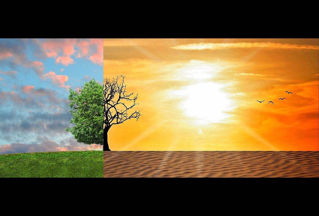 découvrez comment le changement climatique affecte notre planète et quelles actions peuvent être entreprises pour atténuer ses impacts. informez-vous sur les causes, les conséquences et les solutions pour un avenir durable.