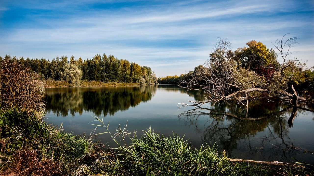 découvrez l'importance de l'environnement et son impact sur notre quotidien. explorez des solutions durables et des actions concrètes pour protéger notre planète et garantir un avenir meilleur pour les générations futures.