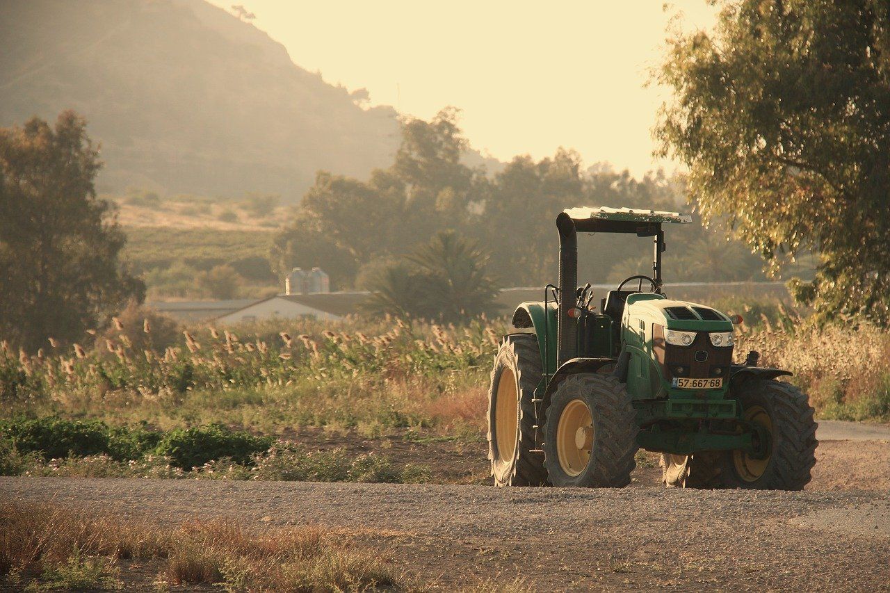 découvrez tout ce qu'il faut savoir sur le soil : définition, rôles écologiques, composition et importance pour l'agriculture durable. apprenez comment le sol influence la croissance des plantes et soutient la biodiversité.