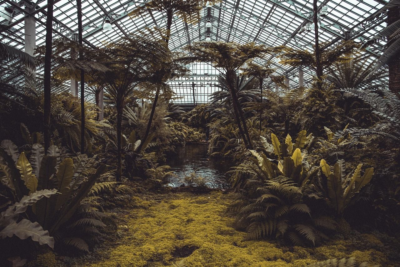 découvrez l'importance des droits environnementaux, leur impact sur la protection de la planète et les responsabilités des citoyens pour préserver un environnement sain et durable.