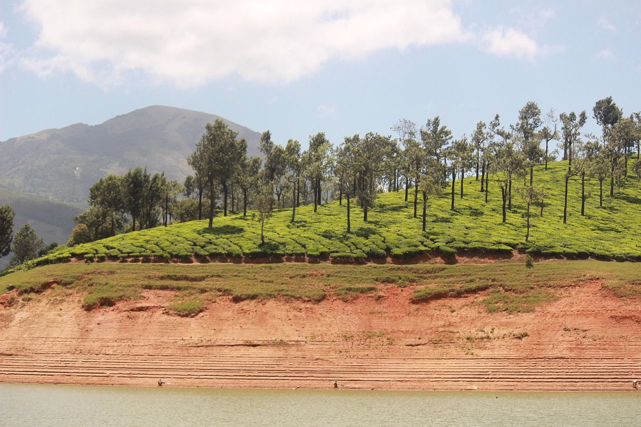 découvrez l'innovation des 'green dams' : des barrages écologiques qui allient protection des écosystèmes et gestion durable de l'eau. apprenez comment ces structures révolutionnent la lutte contre l'érosion et favorisent la biodiversité tout en préservant nos ressources naturelles.