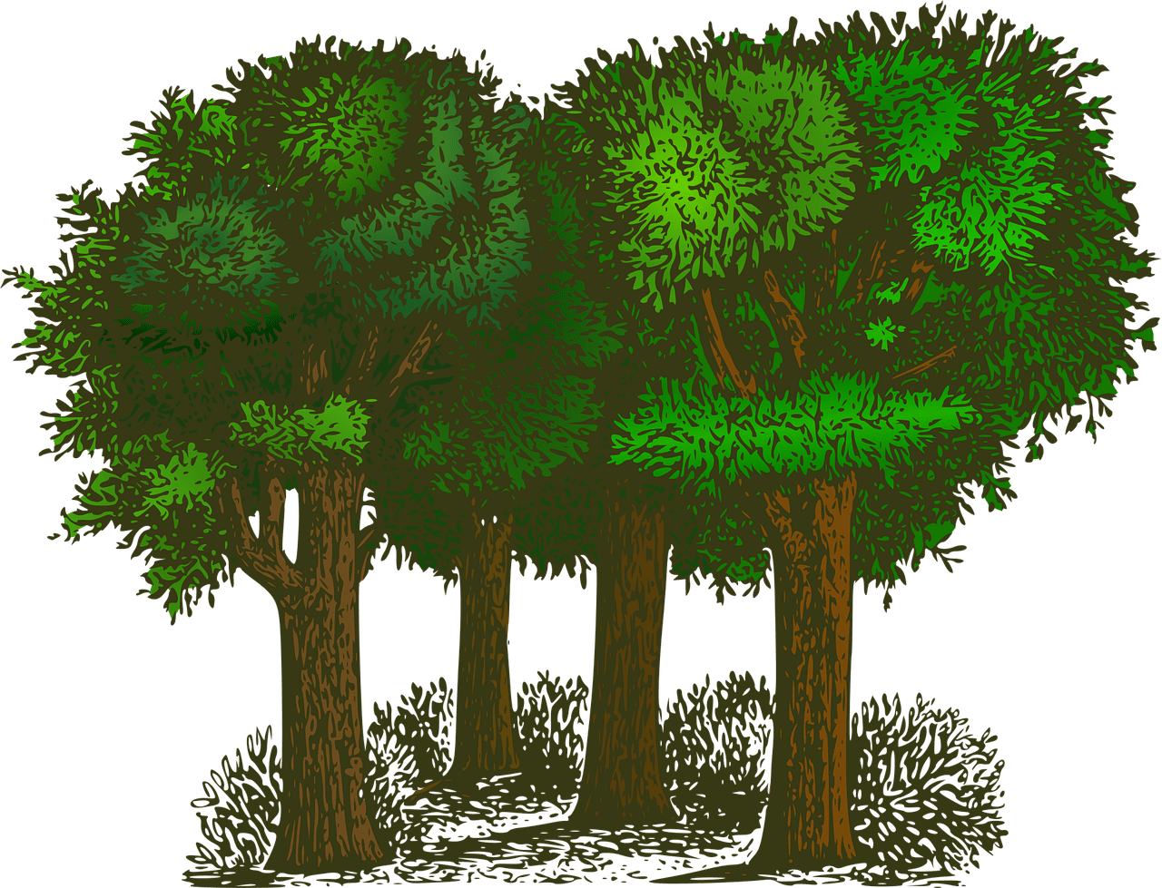 découvrez des informations essentielles sur l’environnement, les enjeux écologiques actuels et les actions à entreprendre pour protéger notre planète et préserver la biodiversité.