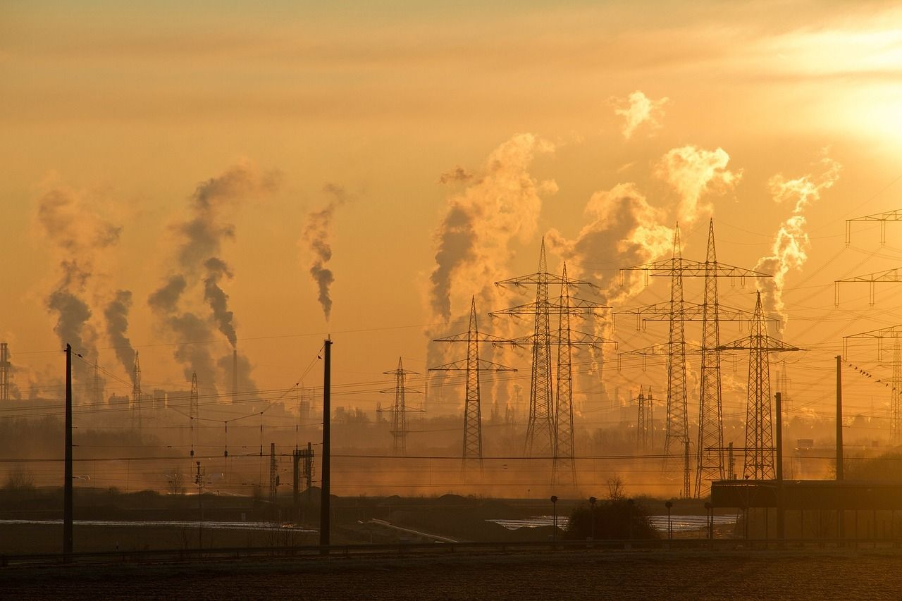 découvrez les principes de l'éthique environnementale, une discipline qui examine notre relation avec la nature et explore comment nos actions affectent l'environnement. apprenez à valoriser la durabilité et à promouvoir un monde plus respectueux de l'écosystème.