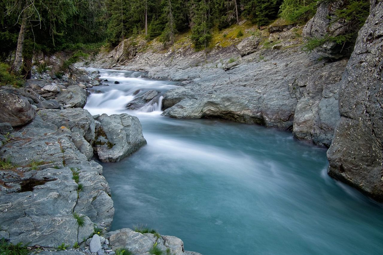 découvrez des informations essentielles sur l'environnement, ses enjeux actuels et des conseils pratiques pour protéger notre planète au quotidien.