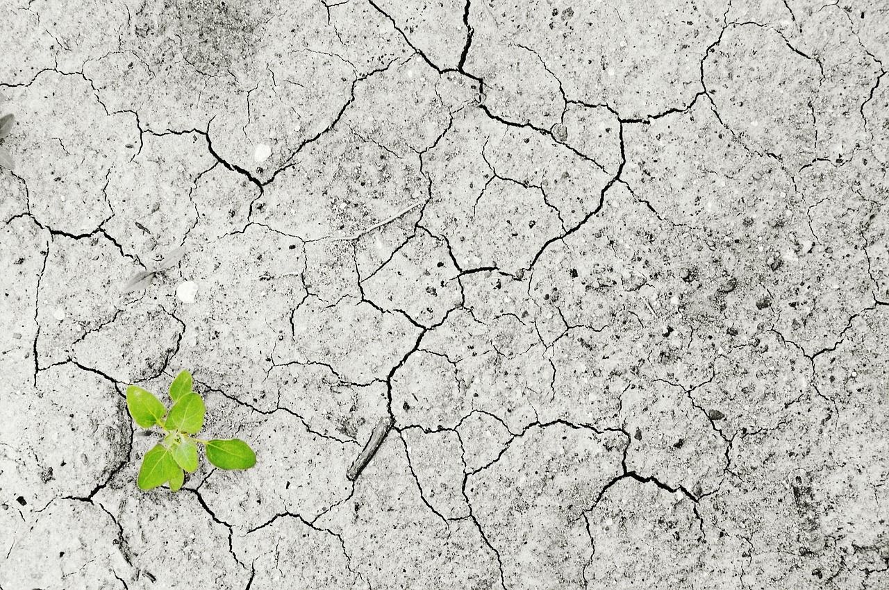 découvrez les causes et les conséquences de la pollution des sols, un problème environnemental majeur. apprenez comment la contamination du sol affecte notre santé, notre écosystème et les solutions pour préserver nos ressources naturelles.