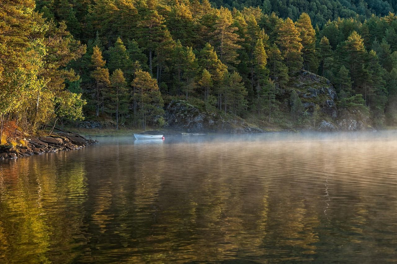 découvrez l'univers fascinant des forêts, véritables poumons de notre planète. plongez dans la biodiversité exceptionnelle, les écosystèmes uniques et les bienfaits environnementaux qu'elles offrent. explorez les secrets des arbres majestueux et la richesse de la faune qui y habite.