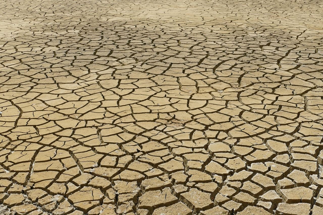 découvrez des solutions innovantes pour lutter contre le changement climatique et protéger notre planète pour les générations futures.