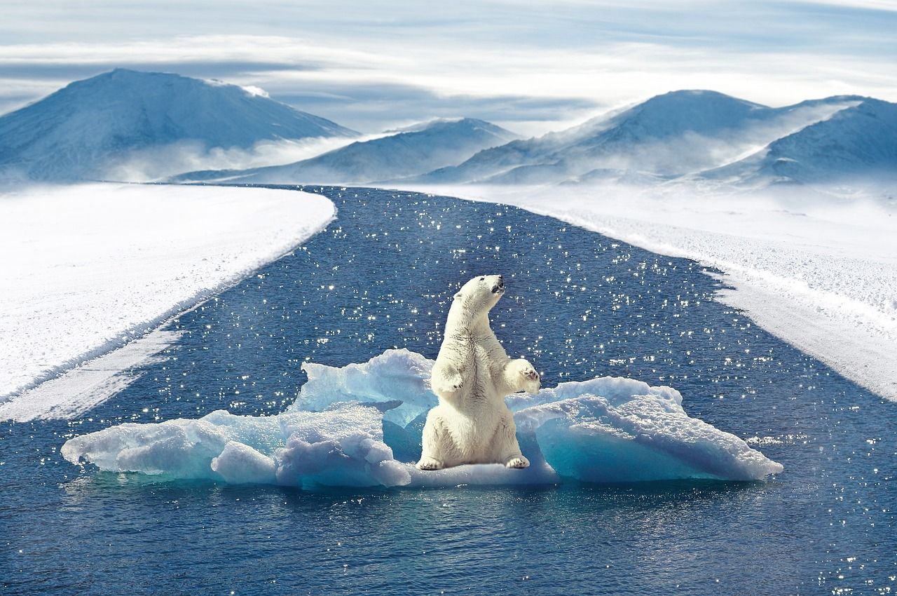 découvrez les initiatives climatiques innovantes qui luttent contre le changement climatique, soutiennent la transition écologique et favorisent un avenir plus durable pour tous.