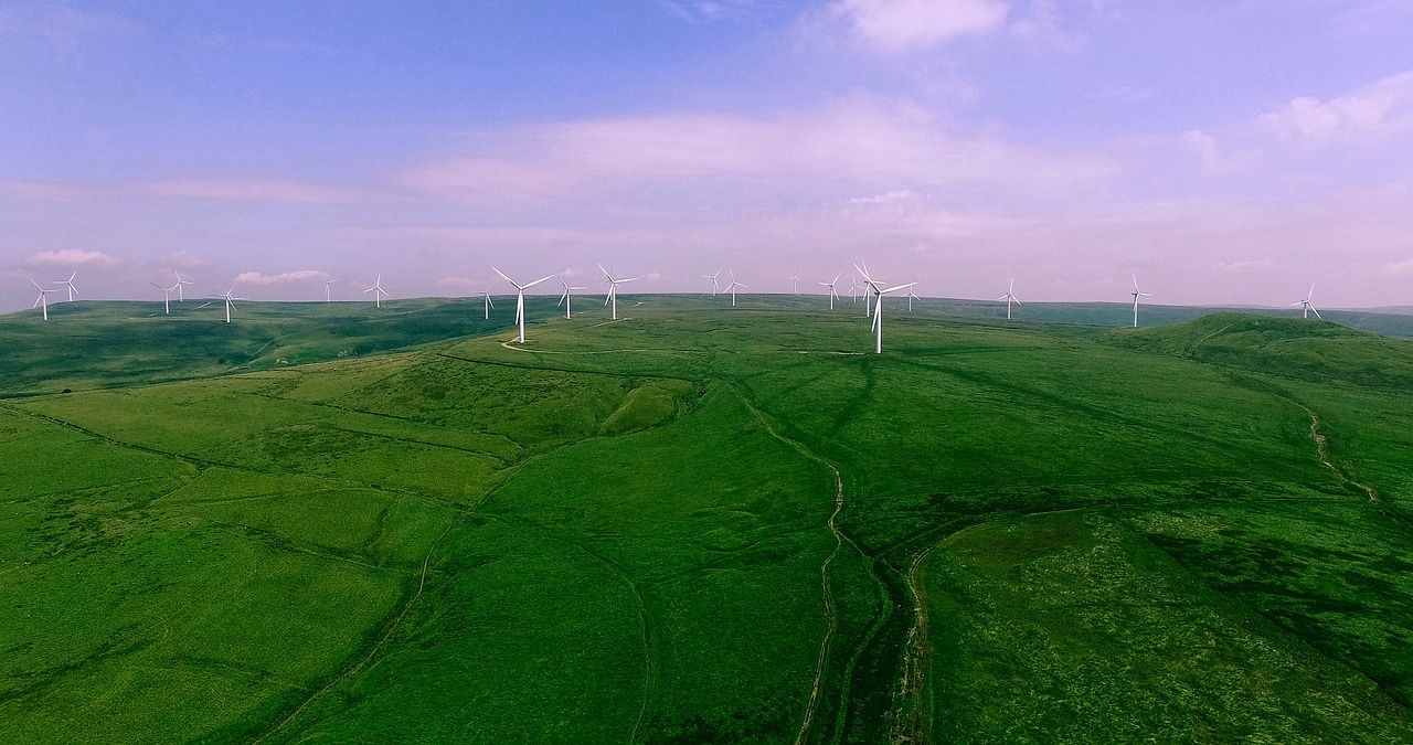 découvrez les technologies de conservation innovantes pour préserver les ressources et l'environnement efficacement.