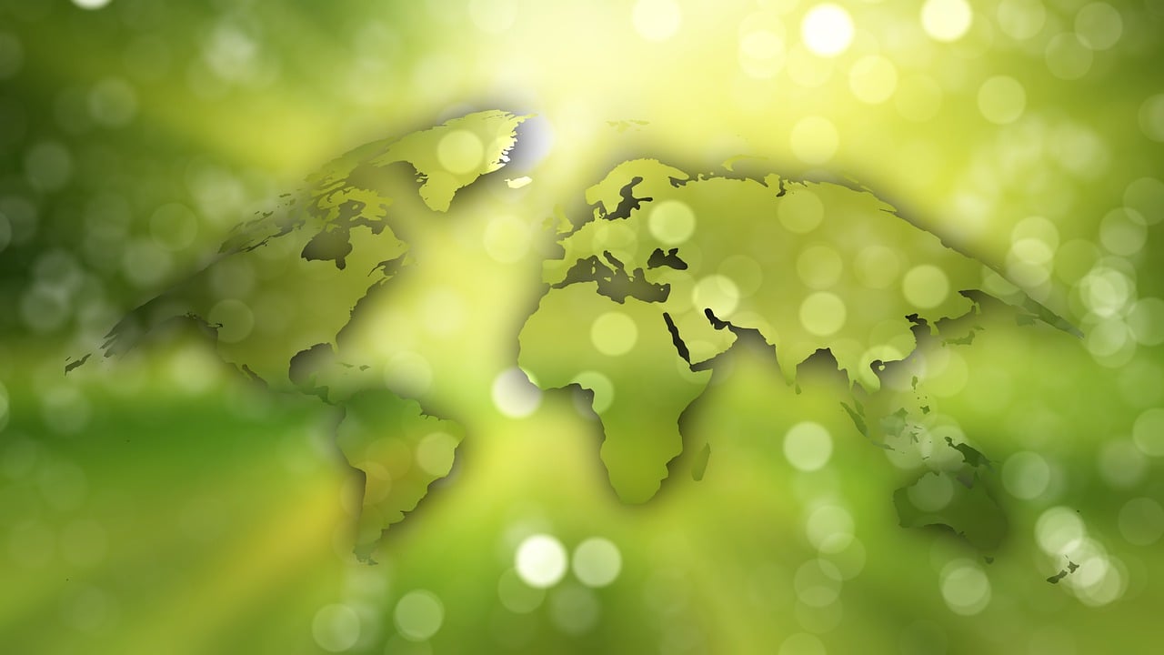 découvrez notre guide complet sur la durabilité, qui explore les pratiques écologiques, l'impact environnemental et les solutions innovantes pour un avenir durable. engagez-vous pour la planète et apprenez à intégrer des principes durables dans votre vie quotidienne.